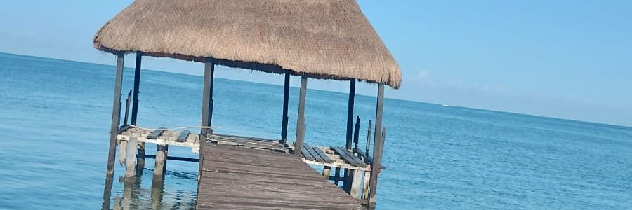 g_marlen's profile banner image