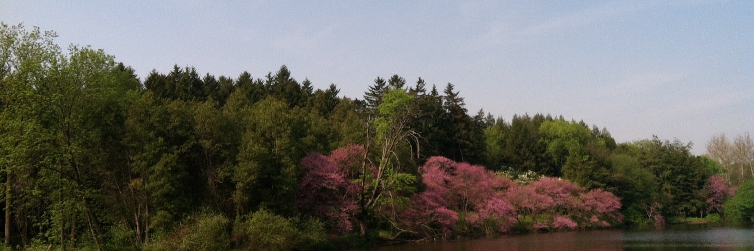 randyfloyd6's profile banner image
