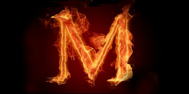 Meryn banner