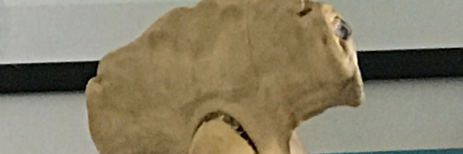 Drknss1234 banner