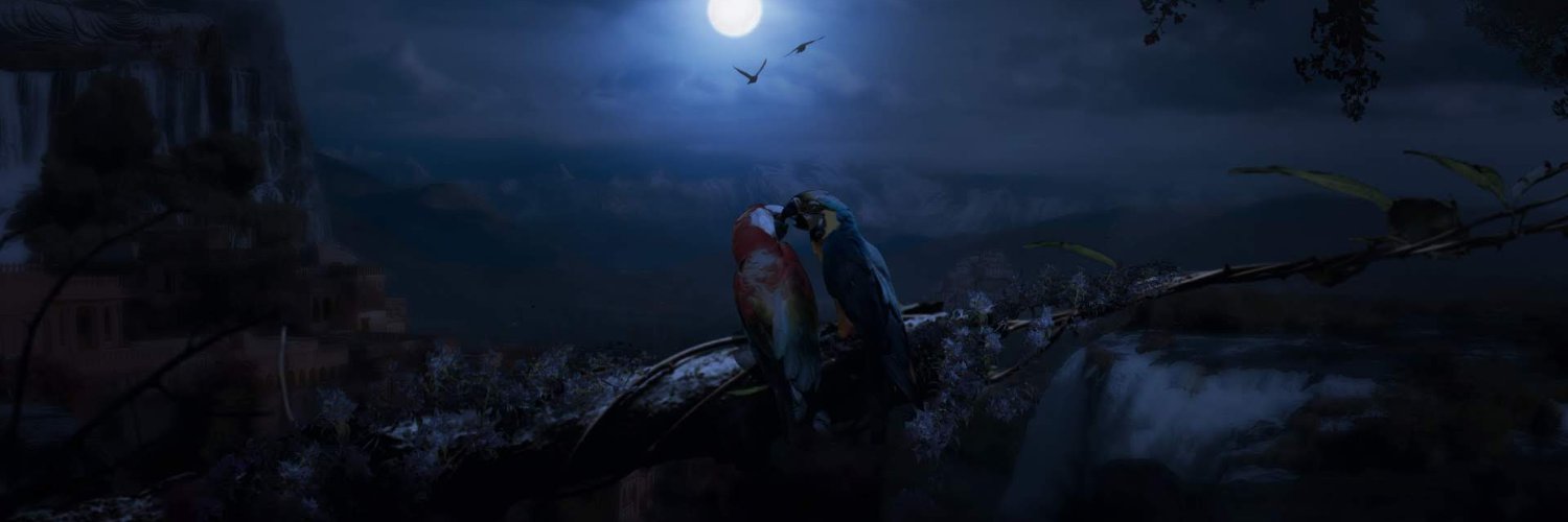 mina_youngX's profile banner image