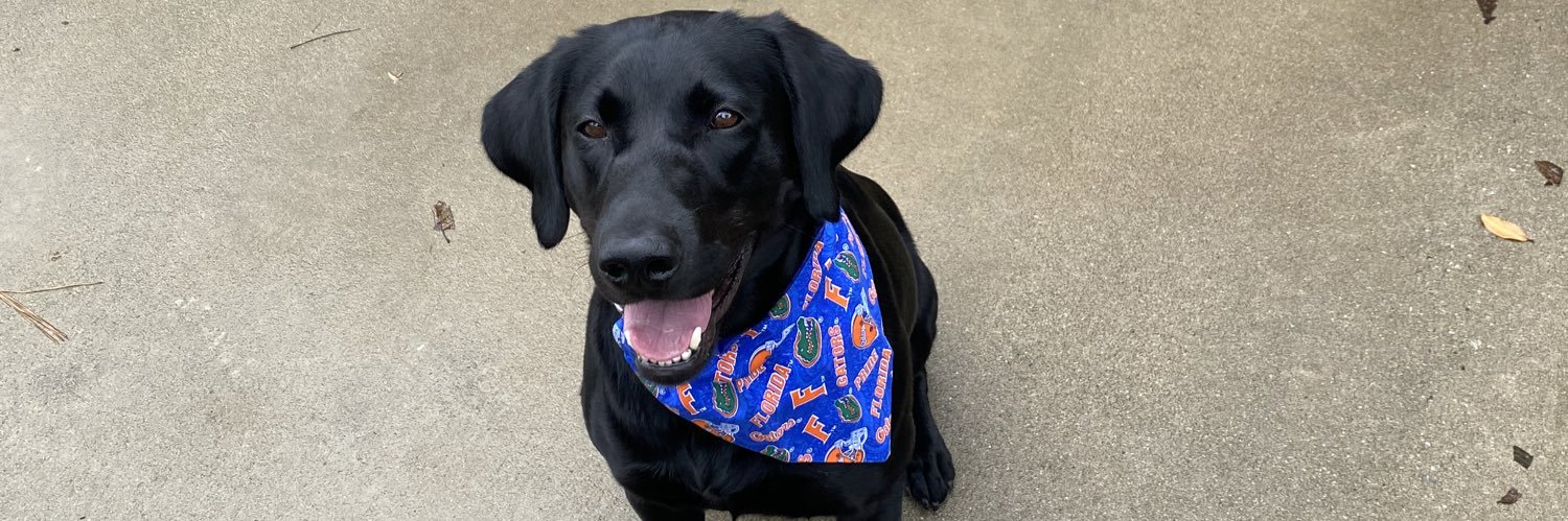 Jackson Williams banner