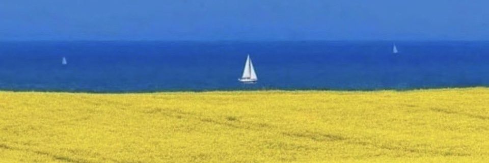 Matt__999's profile banner image