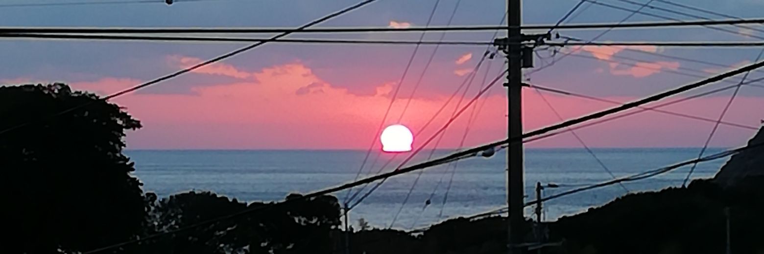 tfukuda11's profile banner image