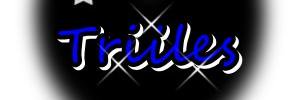triilestari93's profile banner image