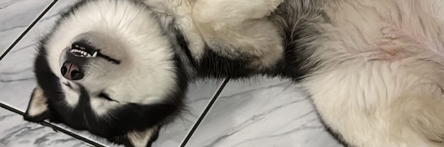 h4tter_'s profile banner image