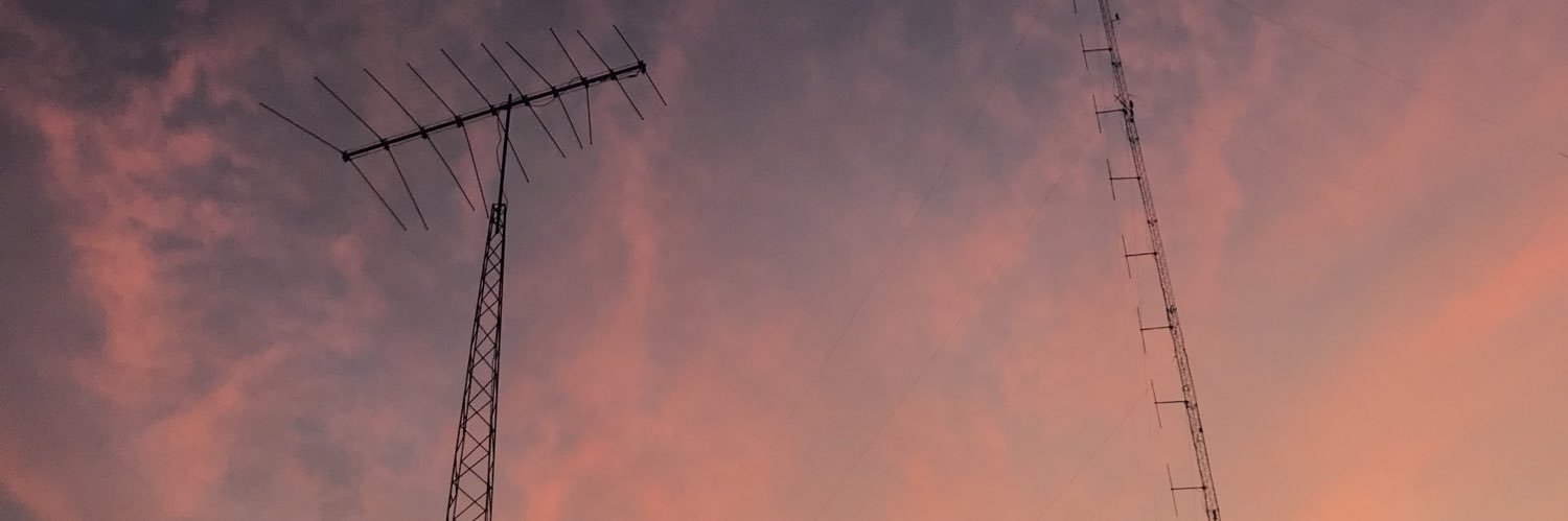 regnerviki's profile banner image