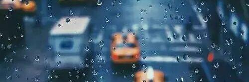 ไอ่ม๋าฟอย 🐶🌻 banner