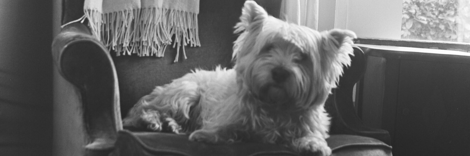 Jonathan M. D. Croom banner