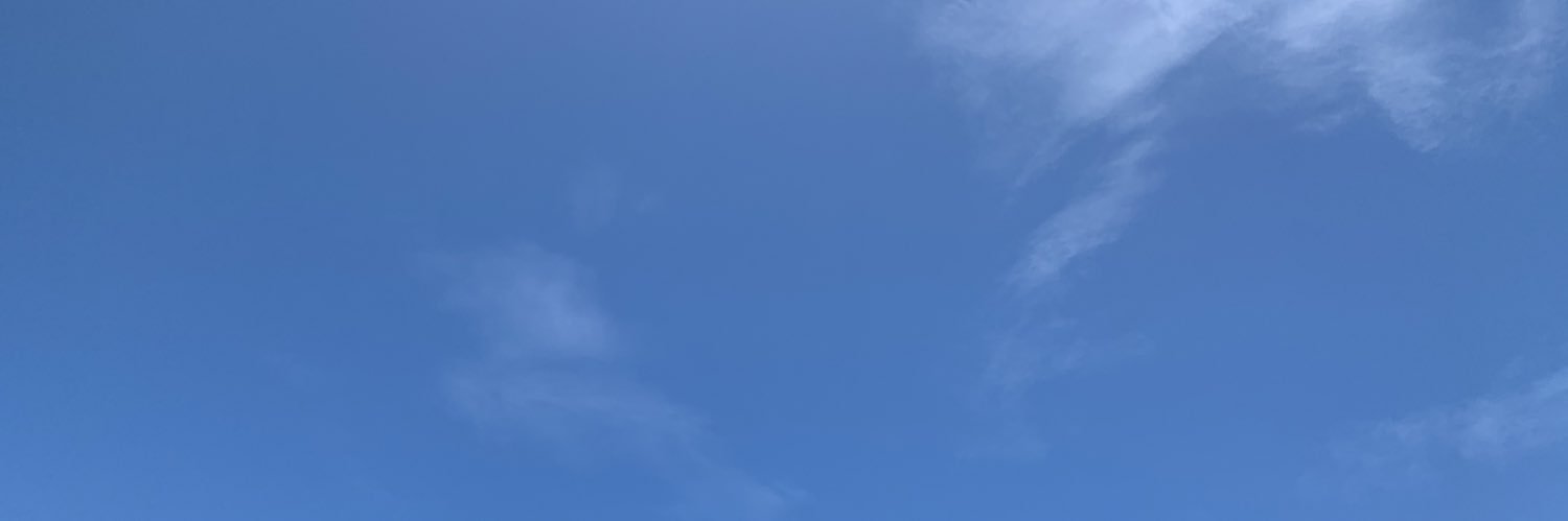 Mane_Rit's profile banner image