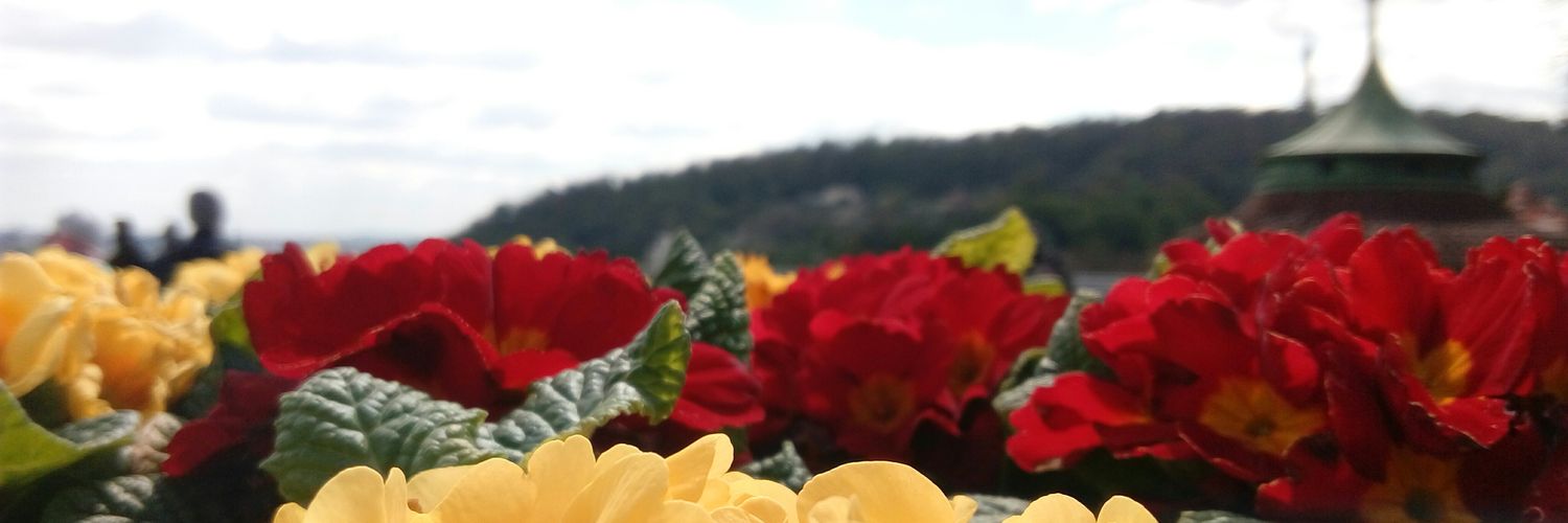 pratwho's profile banner image
