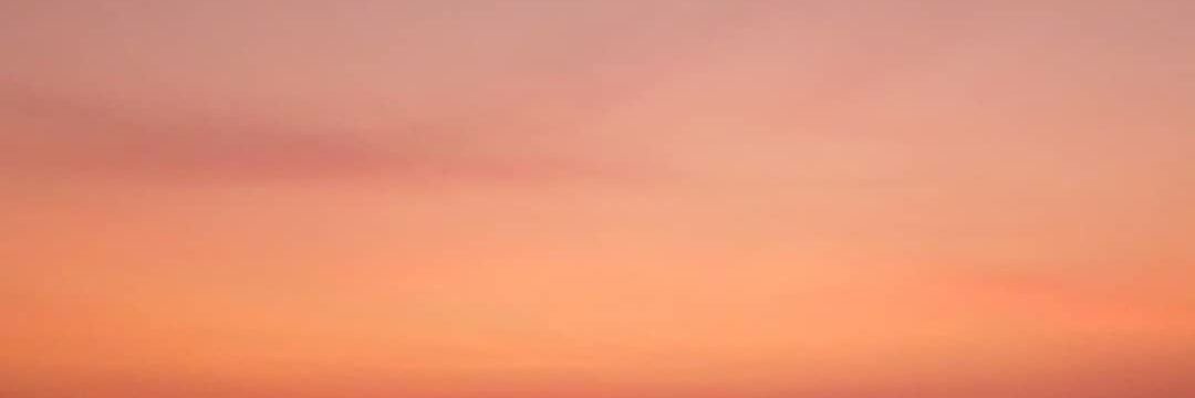 Nicole Del Risco banner