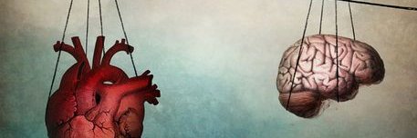 ZApuhan's profile banner image