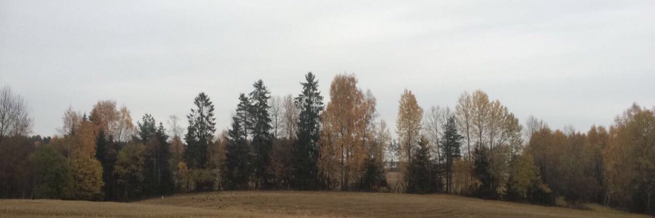 Norasolvik's profile banner image