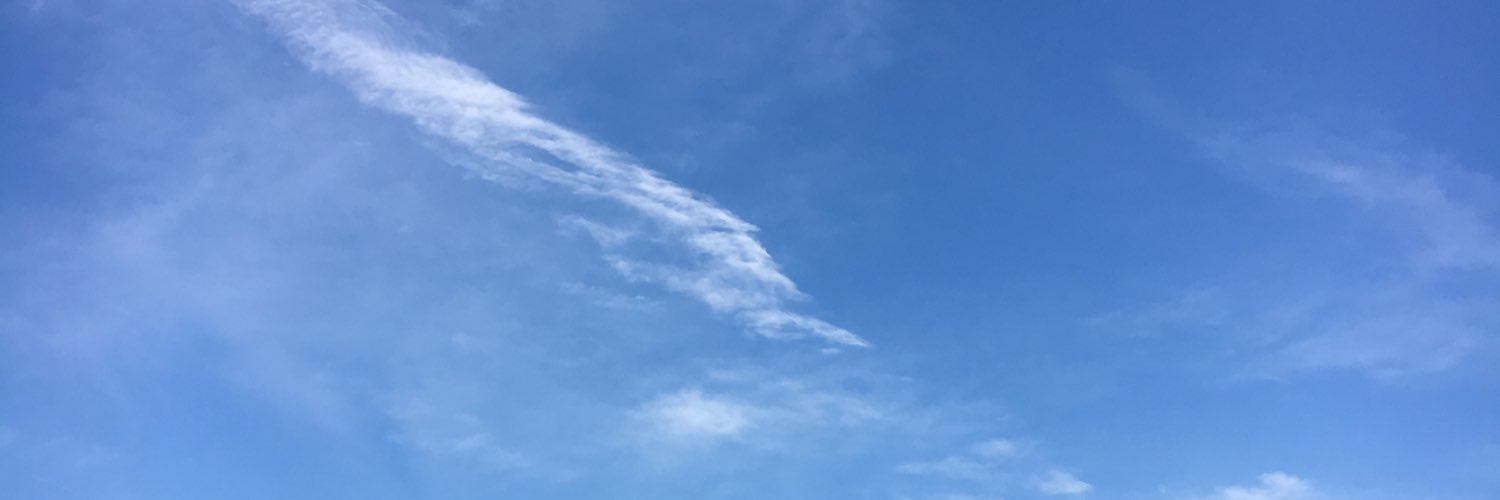 wshuta0's profile banner image