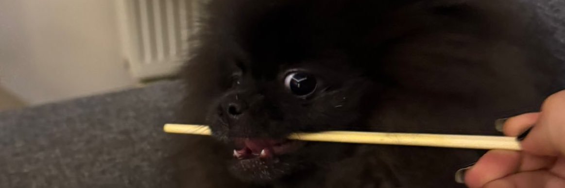 buseeclf's profile banner image