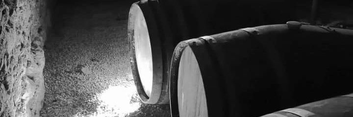 Enología, viticultura y vinificación. banner