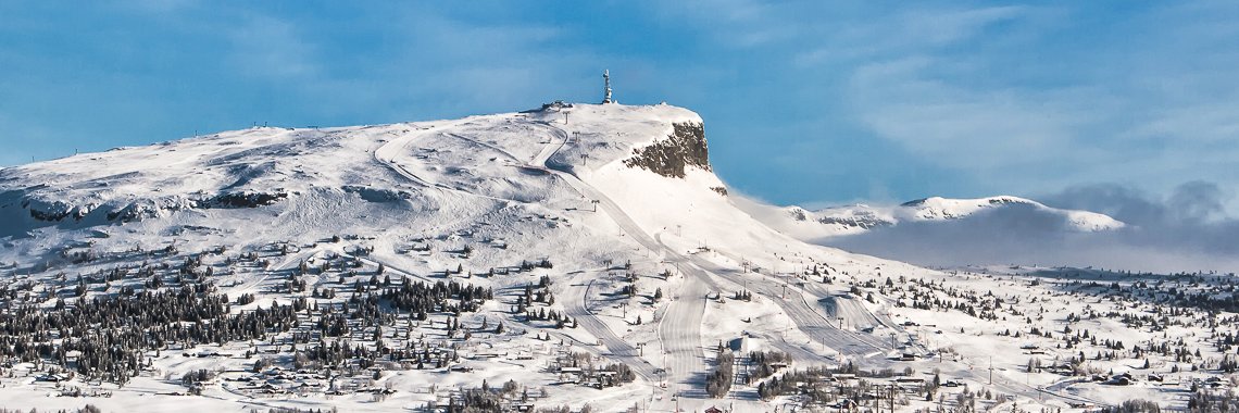 Daniel J Willoch banner