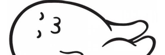橋本 banner