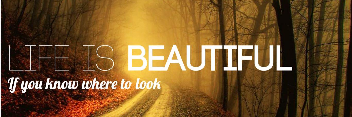yours_follower's profile banner image