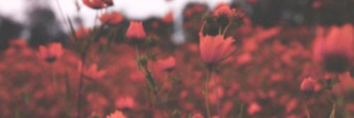 httpxDemiSlays's profile banner image
