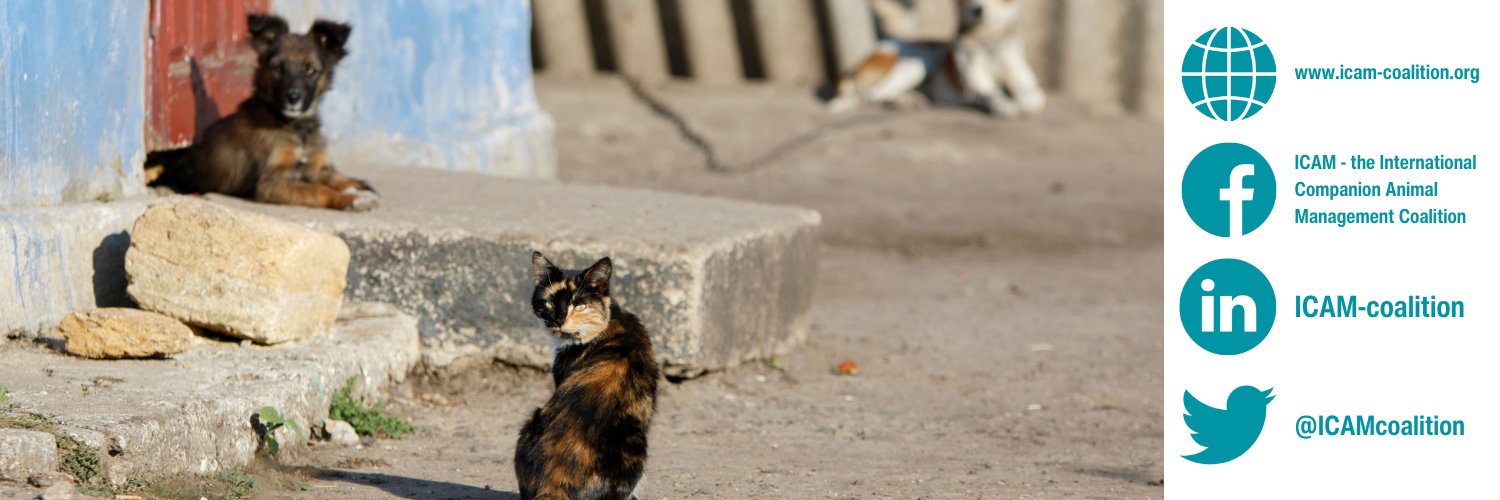 ICAM banner