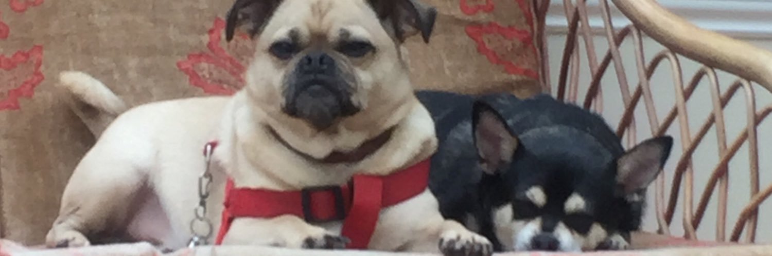 RaiphsWeeDug's profile banner image