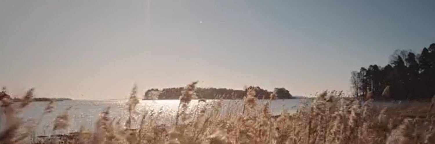 MinnastinaM's profile banner image