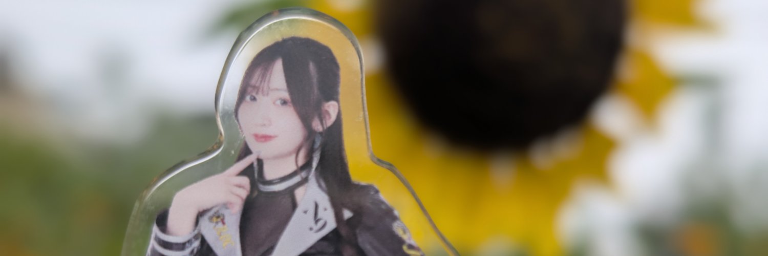 playertaro's profile banner image