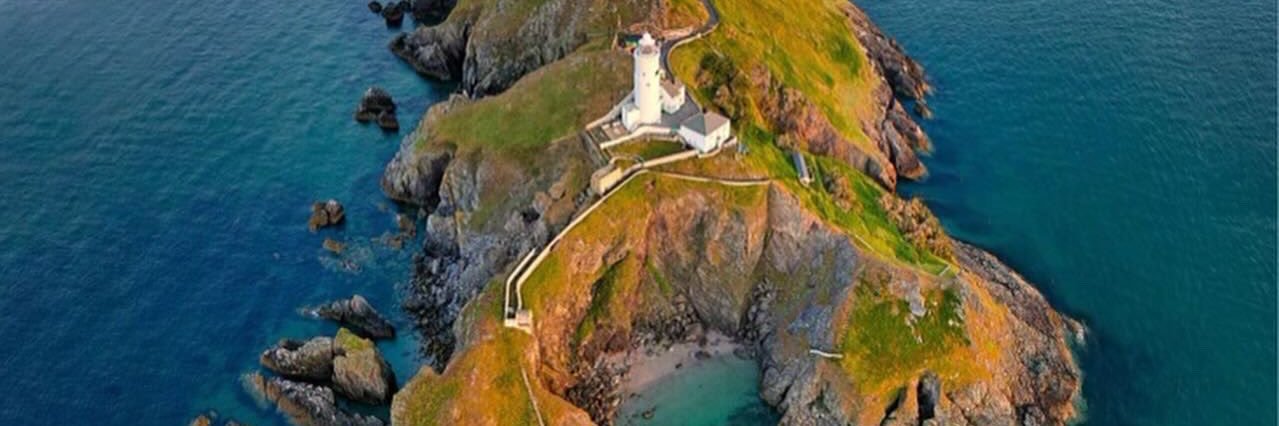 Rebecca Pease banner