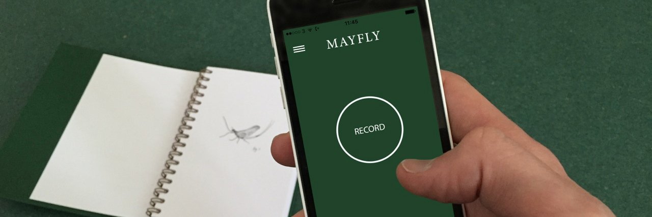 Mayfly banner