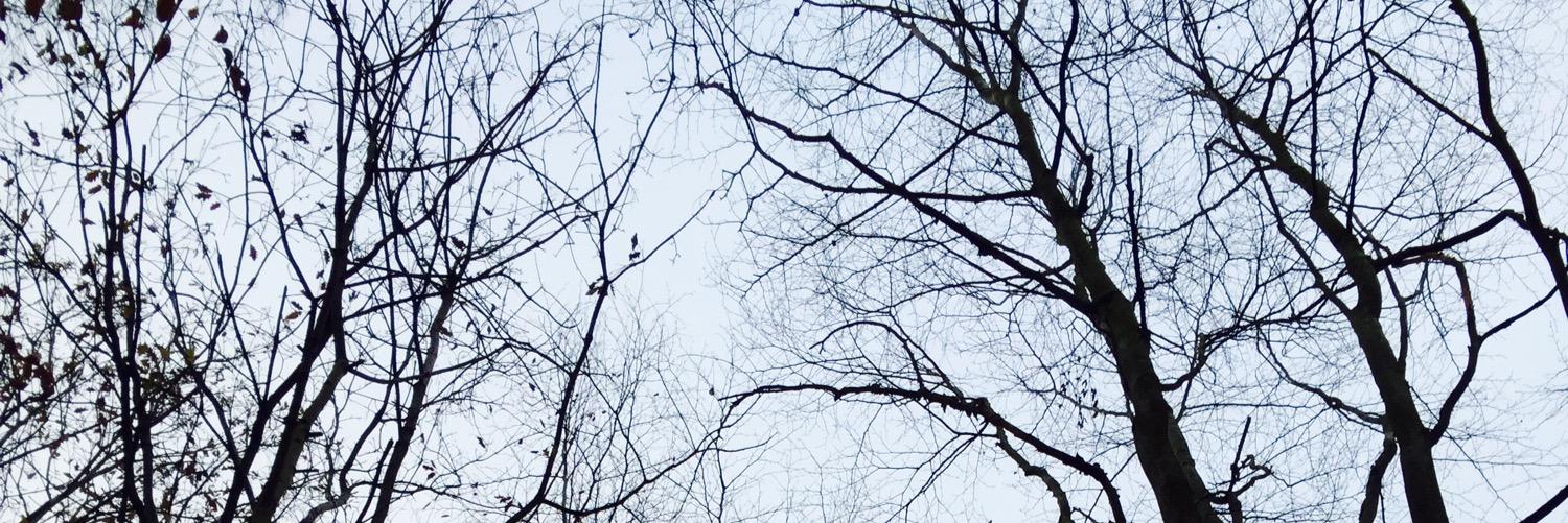 CoanJamie's profile banner image