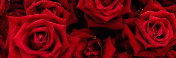 tbh_imu's profile banner image