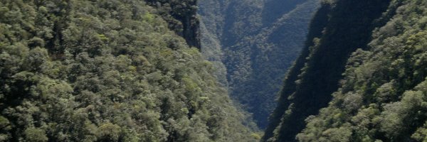 paulorca's profile banner image