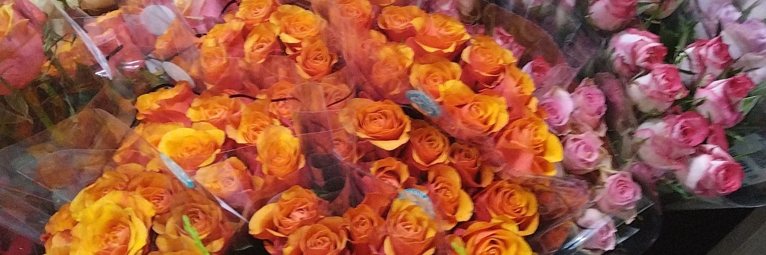 asbonge87's profile banner image