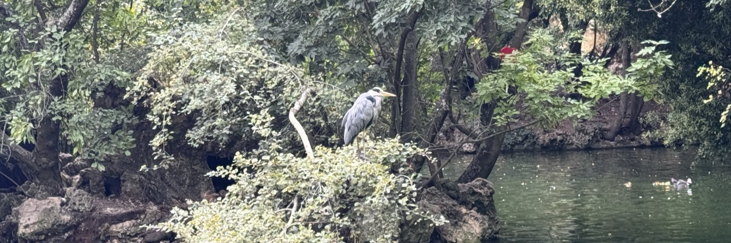 Pedro A. Taboada banner