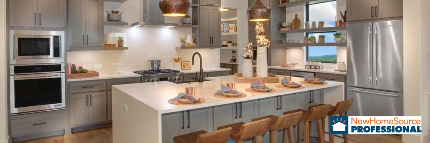 NewHomeSource Professional banner