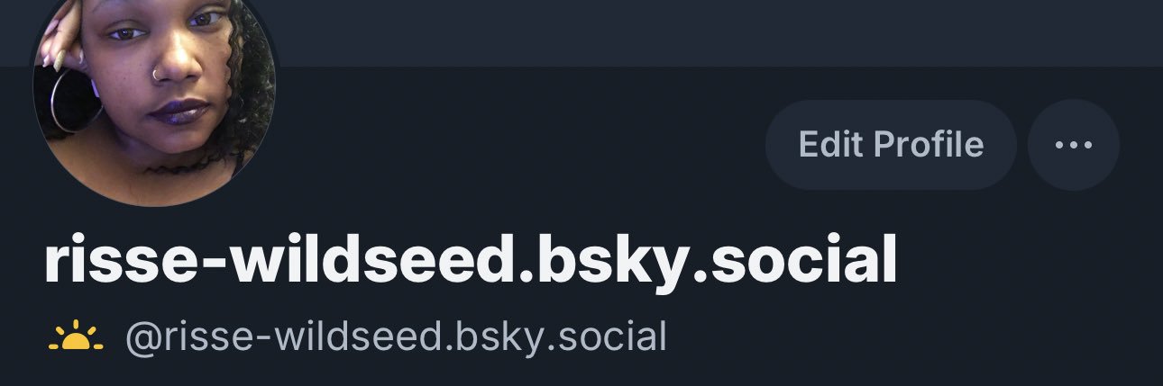 R_WildSeed's profile banner image