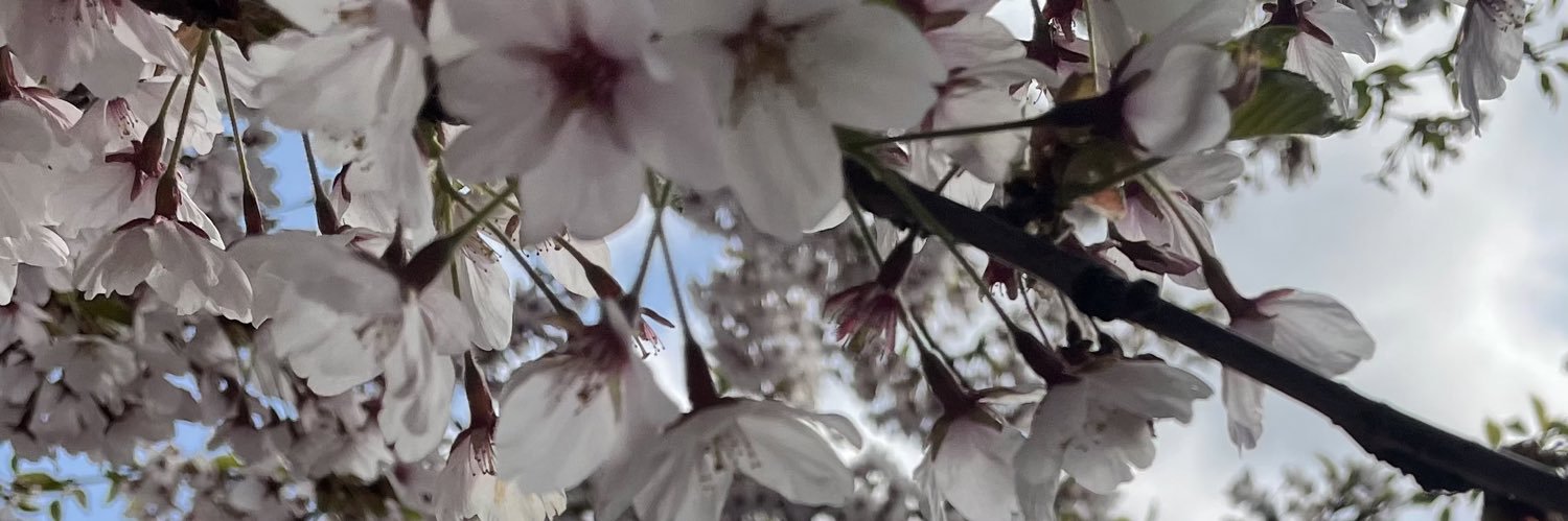 itfika's profile banner image