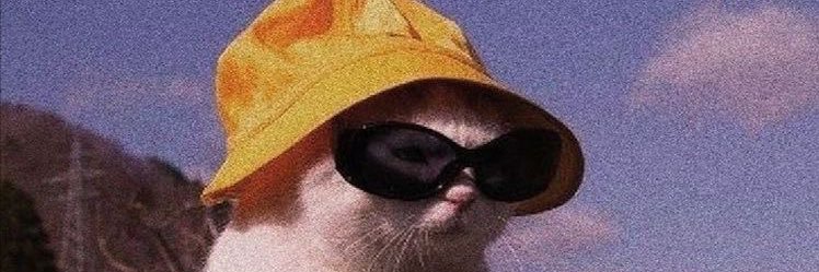 ElsaMitt's profile banner image