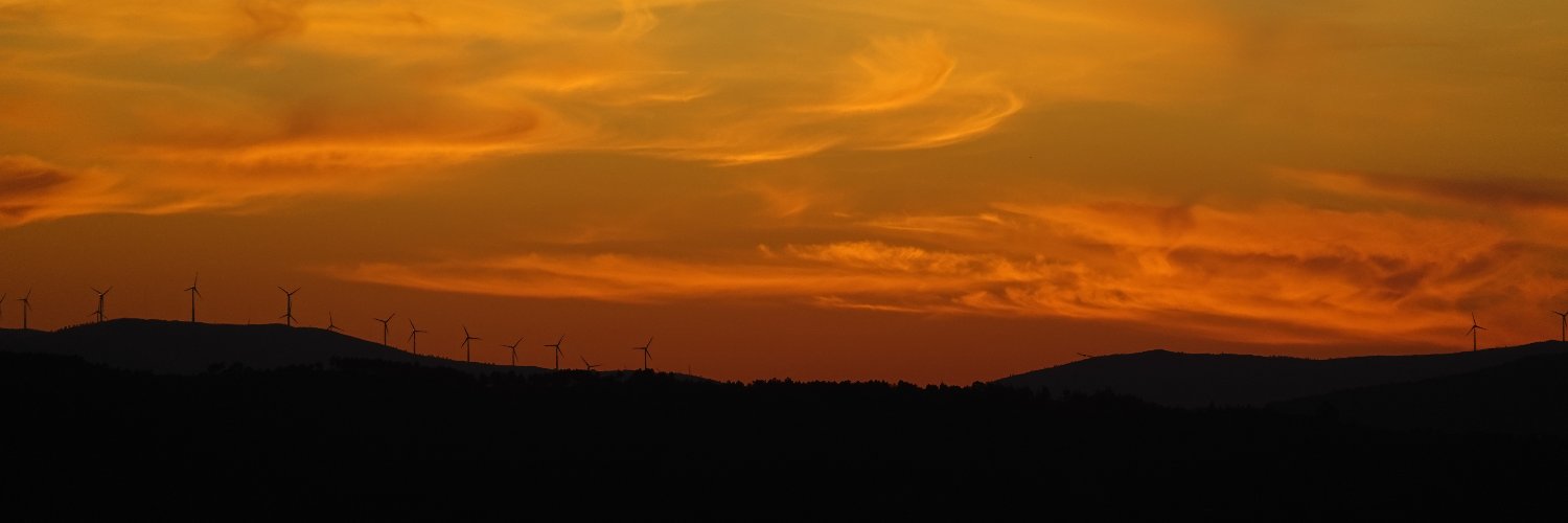 David Ferreira banner