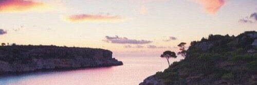 Robinhofman_'s profile banner image
