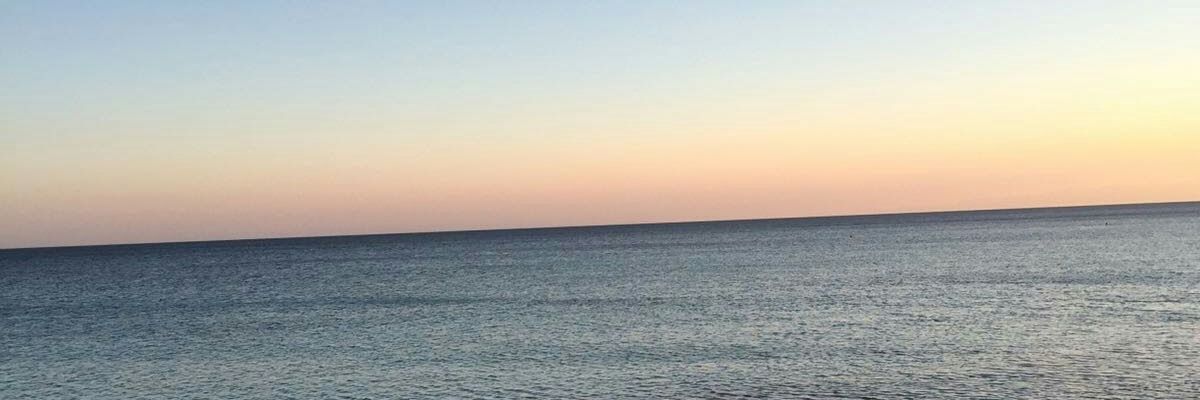CeciaZucc's profile banner image