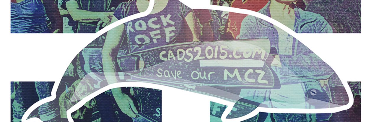 CADS2015 banner