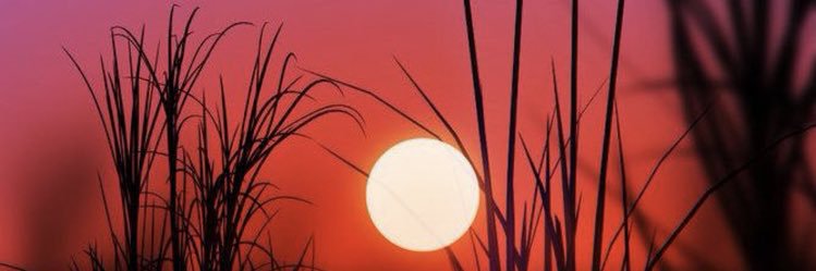 Trel 👹 banner