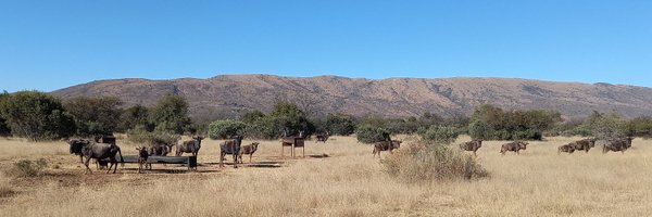 ventertwit Profile Banner