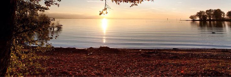 Jus_Run's profile banner image