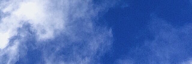msvardal's profile banner image