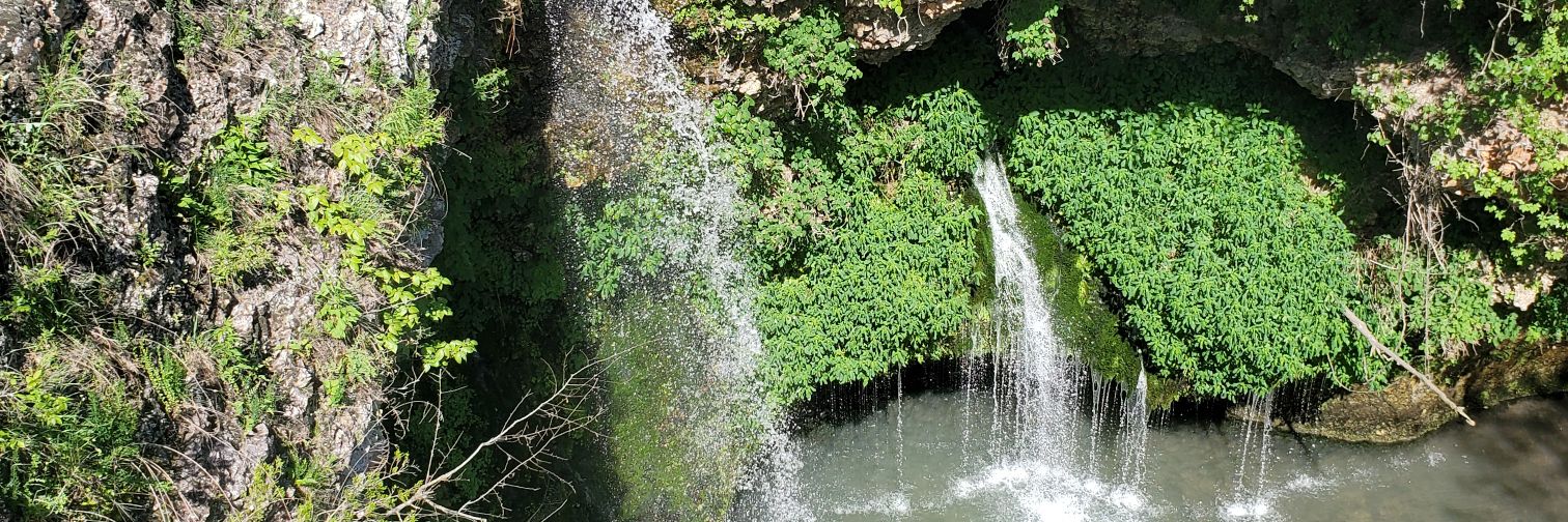 plugintonature's profile banner image