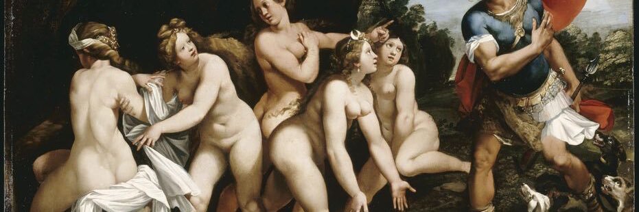 Robin des Boués banner